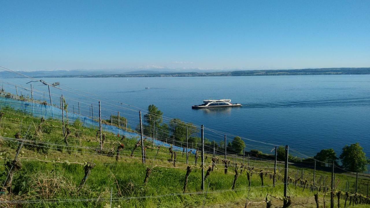 Haus Alexander Leilighet Meersburg Eksteriør bilde